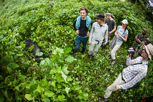 Benefits of Gorilla Trekking and Conservation