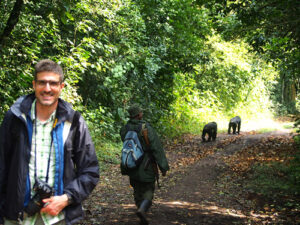Compare gorilla trekking to Chimpanzee trekking
