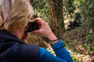 Gorilla Trekking compared to habituation