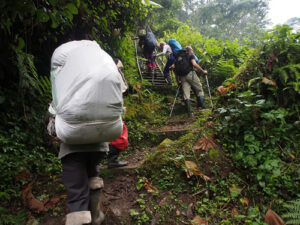 Hiking the Rwenzori Mountains