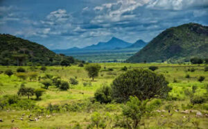 Uganda beyond gorilla trekking