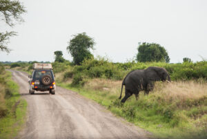 Uganda is not just about gorilla trekking