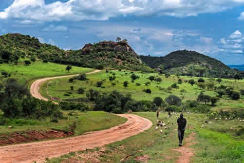 Cost of a Uganda safari