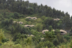 Luxury accommodation for gorilla trekking