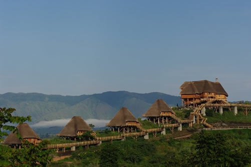 Price of a safari in Uganda