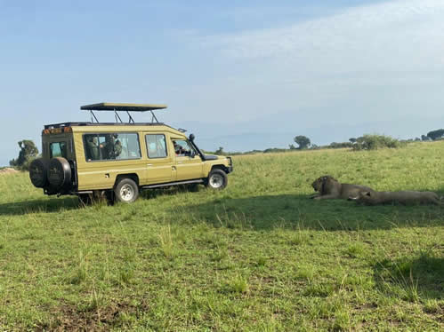 Price of a Uganda safari