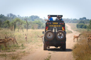 Rwanda safari cost