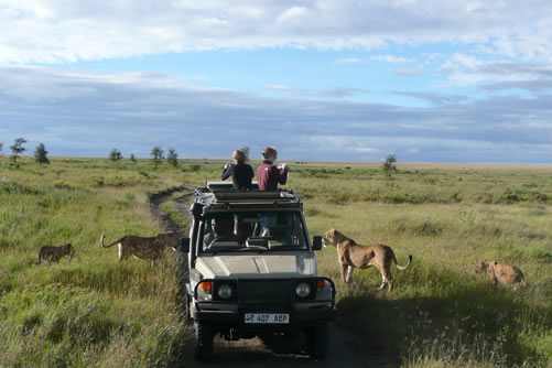 A safari with children