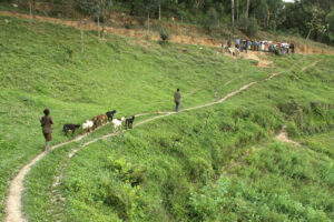 Batwa pygmy community Uganda