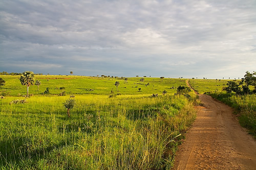 Planning a road trip in Uganda