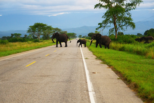 Road trip to Uganda