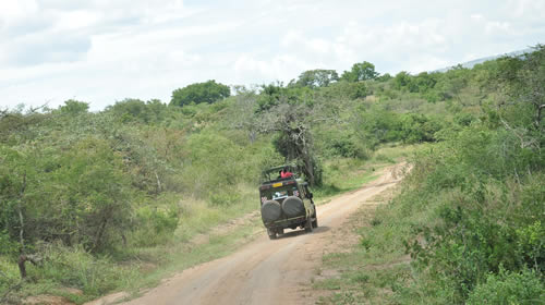 Price of a safari in Akagera