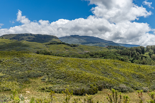 Mount Kenya Climb