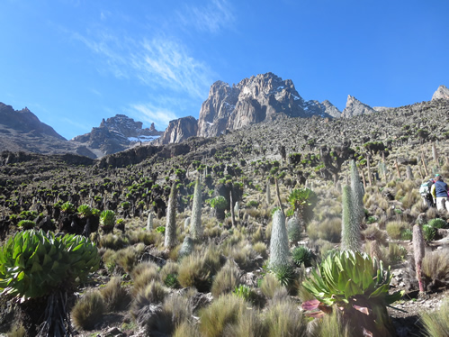 Mount Kenya Hike