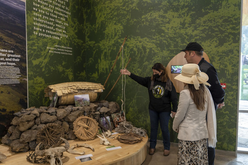 Visiting the Ellen DeGeneres Campus of the Dian Fossey Fund