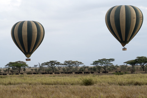 Air balloon safari in Serengeti Tanzania