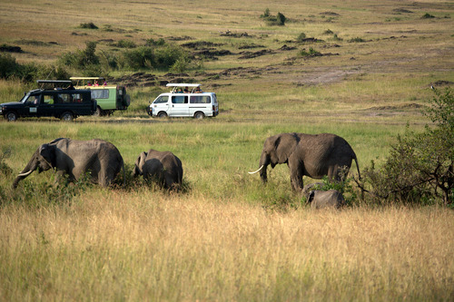 15 days best of Kenya, Uganda and Rwanda tour