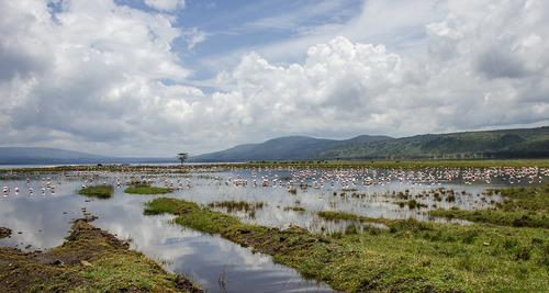 15 days Kenya, Uganda and Rwanda wildlife safari