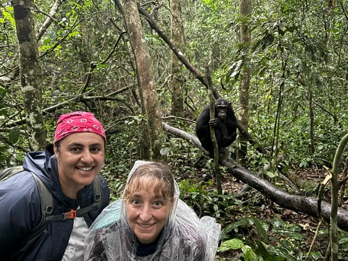 15 days safari in Rwanda, Uganda and Kenya