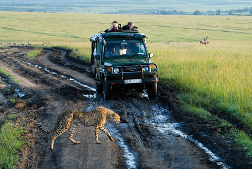 3 days Masai Mara flying tour